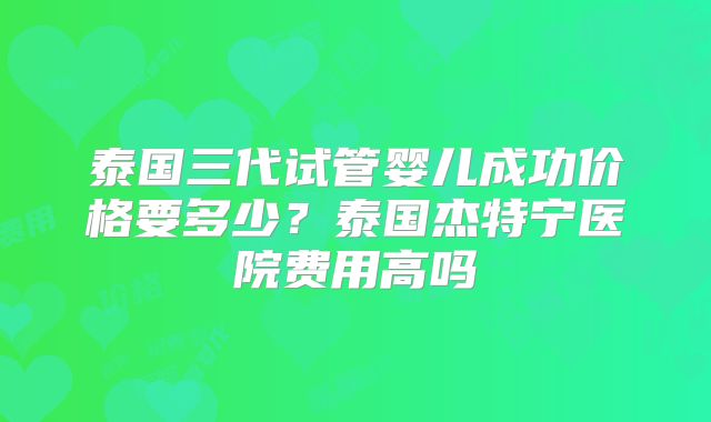 泰国三代试管婴儿成功价格要多少?泰国杰特宁医院费用高吗