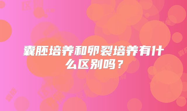 囊胚培养和卵裂培养有什么区别吗？