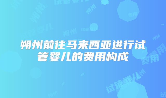 朔州前往马来西亚进行试管婴儿的费用构成