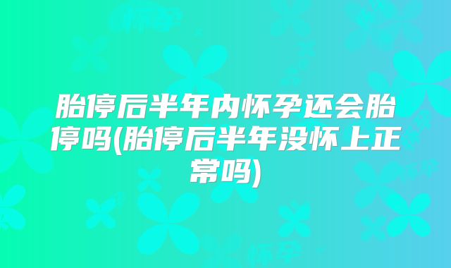 胎停后半年内怀孕还会胎停吗(胎停后半年没怀上正常吗)