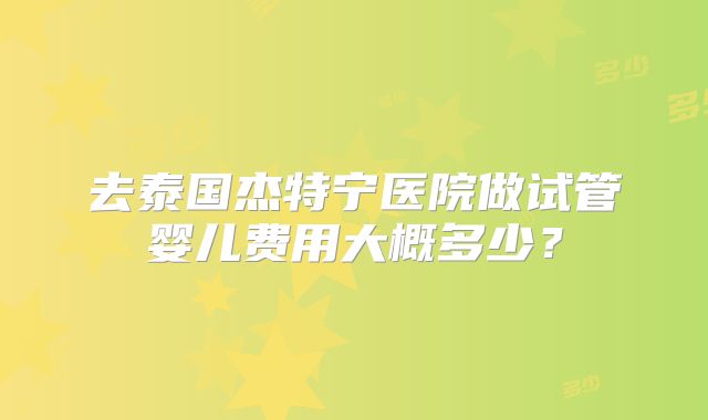 去泰国杰特宁医院做试管婴儿费用大概多少?