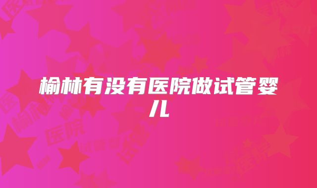 榆林有没有医院做试管婴儿