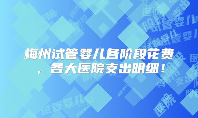 梅州试管婴儿各阶段花费,各大医院支出明细!