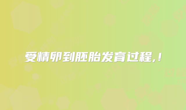 受精卵到胚胎发育过程,!