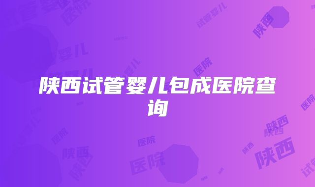 陕西试管婴儿包成医院查询