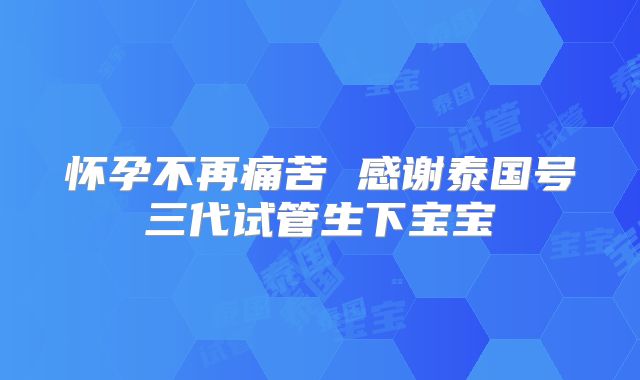 怀孕不再痛苦 感谢泰国号三代试管生下宝宝