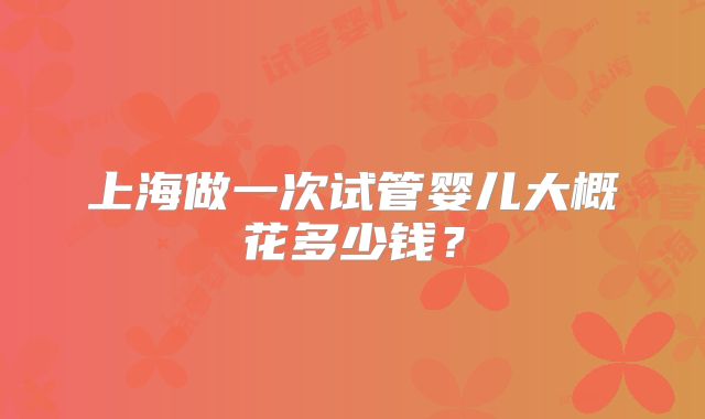 上海做一次试管婴儿大概花多少钱?