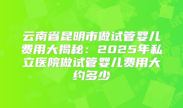 云南省昆明市做试管婴儿费用大揭秘：2025年私立医院做试管婴儿费用大约多少