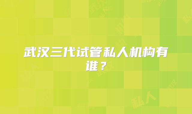 武汉三代试管私人机构有谁?