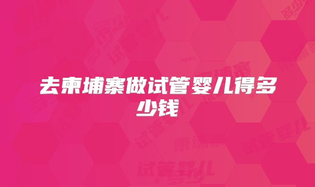 去柬埔寨做试管婴儿得多少钱