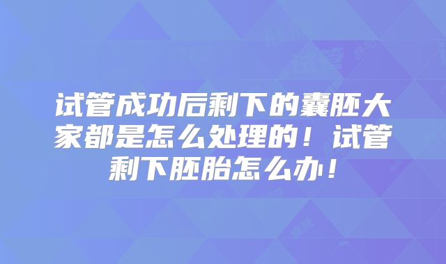 试管成功后剩下的囊胚大家都是怎么处理的！试管剩下胚胎怎么办！