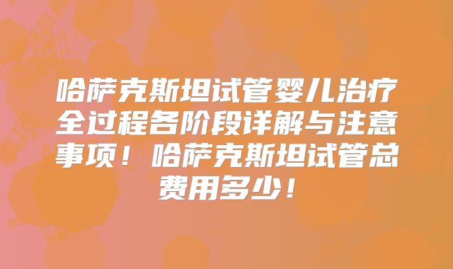 哈萨克斯坦试管婴儿治疗全过程各阶段详解与注意事项！哈萨克斯坦试管总费用多少！