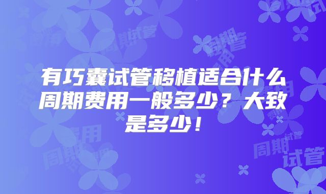 有巧囊试管移植适合什么周期费用一般多少?大致是多少!