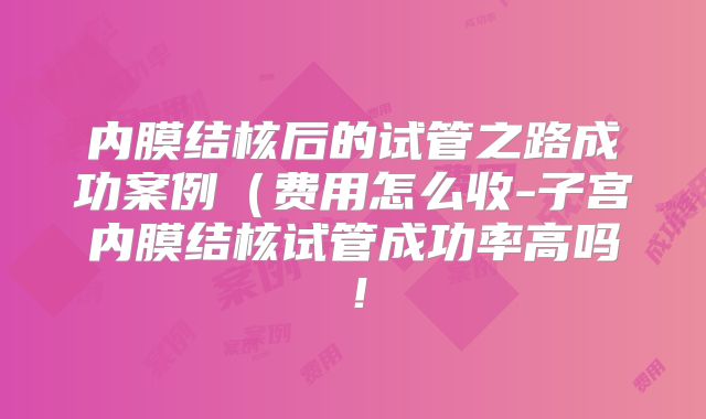 内膜结核后的试管之路成功案例（费用怎么收-子宫内膜结核试管成功率高吗！