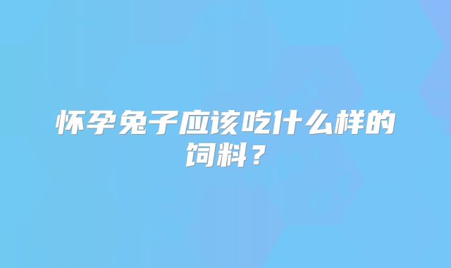 怀孕兔子应该吃什么样的饲料?
