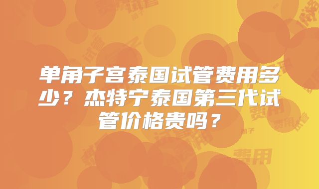 单角子宫泰国试管费用多少？杰特宁泰国第三代试管价格贵吗？