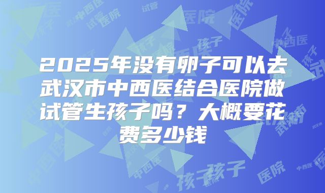 2025年没有卵子可以去武汉市中西医结合医院做试管生孩子吗？大概要花费多少钱
