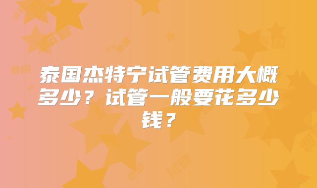 泰国杰特宁试管费用大概多少?试管一般要花多少钱?