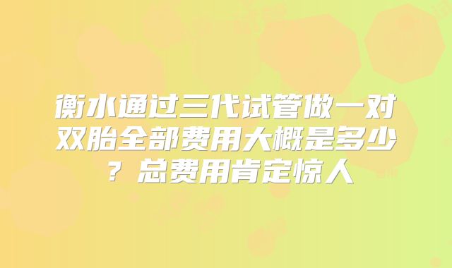 衡水通过三代试管做一对双胎全部费用大概是多少？总费用肯定惊人