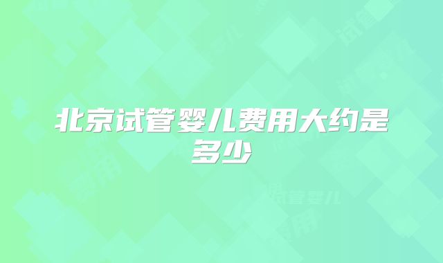 北京试管婴儿费用大约是多少