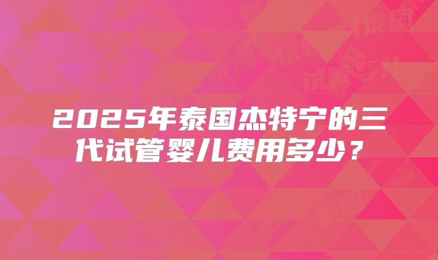 2025年泰国杰特宁的三代试管婴儿费用多少?
