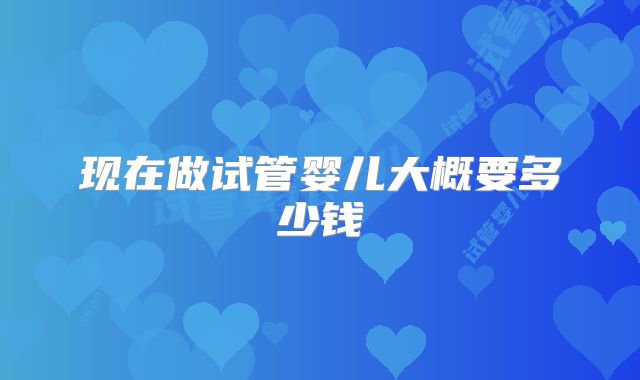 现在做试管婴儿大概要多少钱