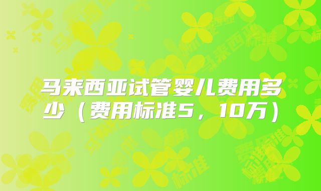 马来西亚试管婴儿费用多少(费用标准5,10万)