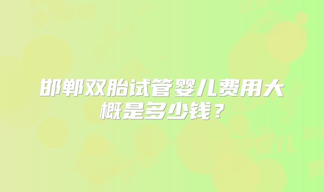 邯郸双胎试管婴儿费用大概是多少钱？