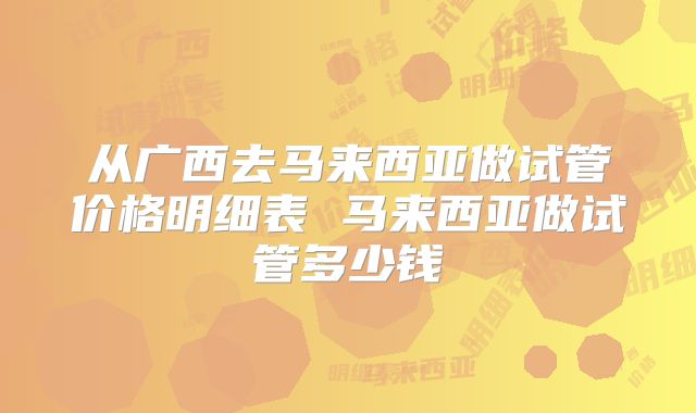 从广西去马来西亚做试管价格明细表 马来西亚做试管多少钱
