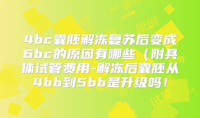 4bc囊胚解冻复苏后变成6bc的原因有哪些（附具体试管费用-解冻后囊胚从4bb到5bb是升级吗！