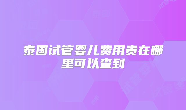 泰国试管婴儿费用贵在哪里可以查到