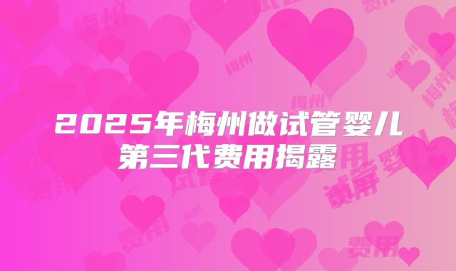 2025年梅州做试管婴儿第三代费用揭露