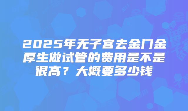2025年无子宫去金门金厚生做试管的费用是不是很高？大概要多少钱