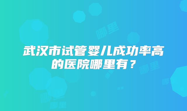 武汉市试管婴儿成功率高的医院哪里有？