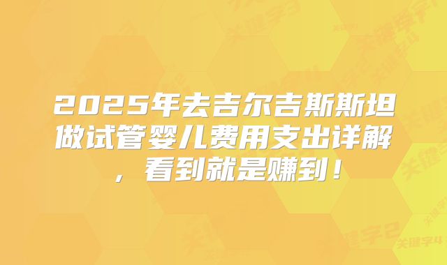 2025年去吉尔吉斯斯坦做试管婴儿费用支出详解，看到就是赚到！