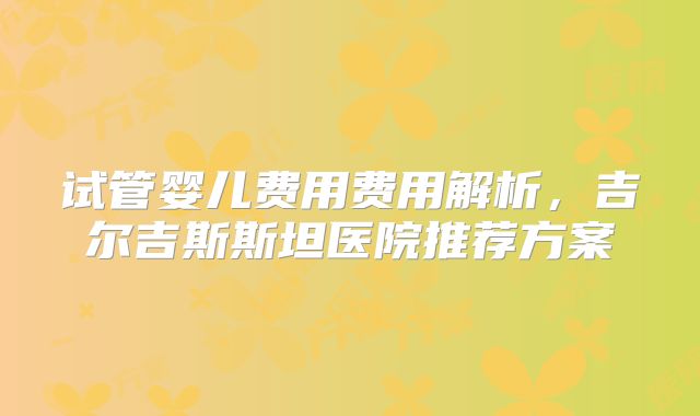 试管婴儿费用费用解析，吉尔吉斯斯坦医院推荐方案