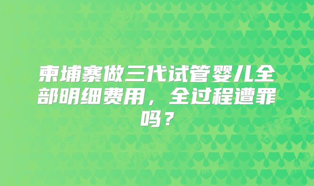 柬埔寨做三代试管婴儿全部明细费用，全过程遭罪吗？