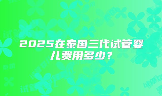 2025在泰国三代试管婴儿费用多少？