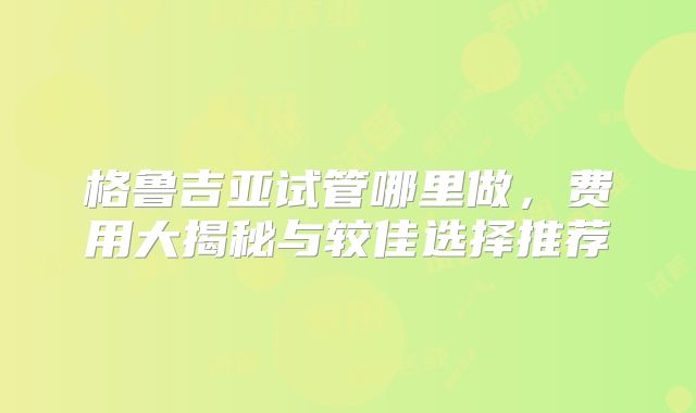 格鲁吉亚试管哪里做，费用大揭秘与较佳选择推荐
