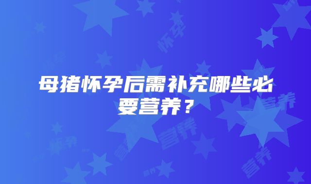 母猪怀孕后需补充哪些必要营养?