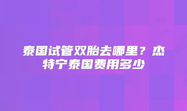泰国试管双胎去哪里？杰特宁泰国费用多少