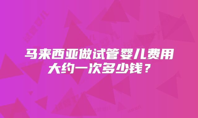 马来西亚做试管婴儿费用大约一次多少钱？