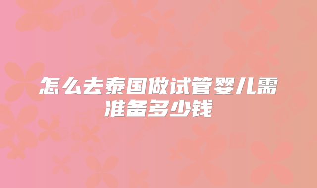 怎么去泰国做试管婴儿需准备多少钱