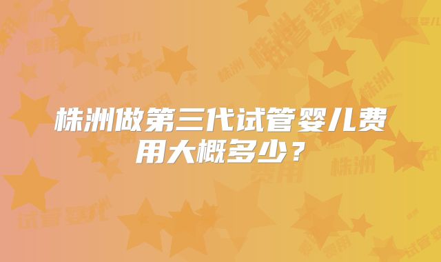 株洲做第三代试管婴儿费用大概多少?