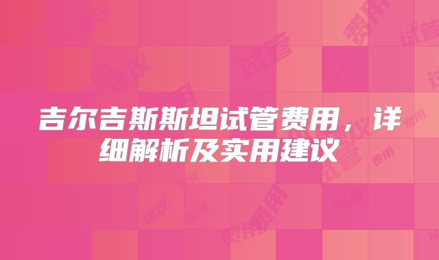 吉尔吉斯斯坦试管费用，详细解析及实用建议