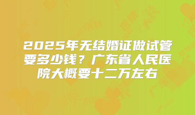 2025年无结婚证做试管要多少钱？广东省人民医院大概要十二万左右