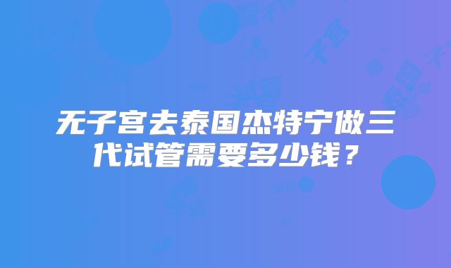 无子宫去泰国杰特宁做三代试管需要多少钱？