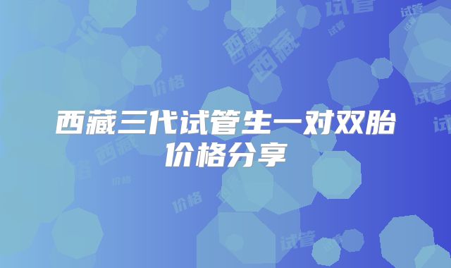 西藏三代试管生一对双胎价格分享