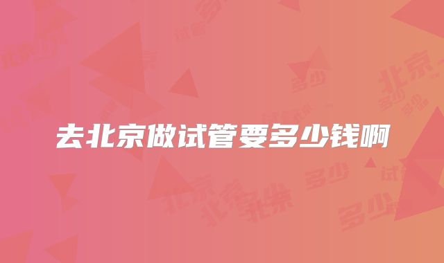 去北京做试管要多少钱啊
