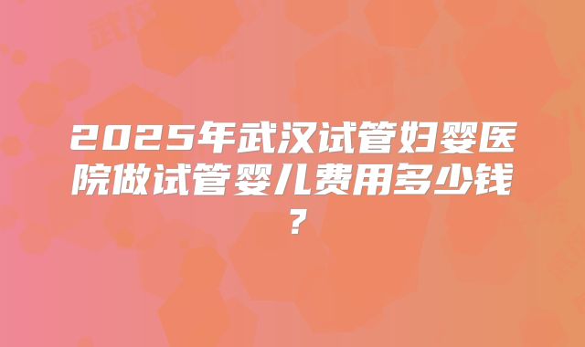 2025年武汉试管妇婴医院做试管婴儿费用多少钱？